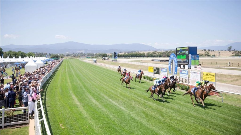 20/12/2024 Horse Racing Tips and Best Bets – Yarra Valley