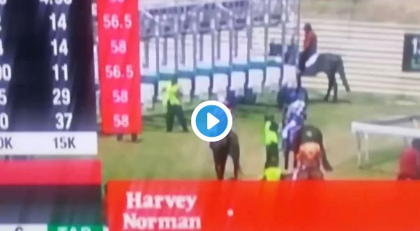 Scumbag Australian Jockey Punches Horse