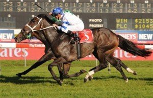 Rangirangdoo grinds down Road To Rock to win the Doncaster Mile