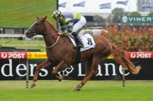 Bart Cummings trained Salade has sprung into Golden Slipper contention after winning today's Pago Pago Stakes - Photo by Steve Hart