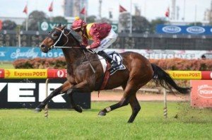 Straford wins impressively at Rosehill - Steve Hart