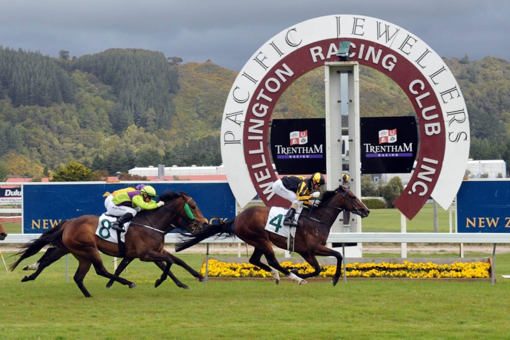 Wellington Cup NZ 2025 Field, Tips, Betting Odds, Results