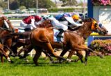 Woorim winning the Sportingbet Oakleigh Plate at Caulfield - photo by Race Horse Photos Australia